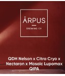 Arpus Brewing Co. QDH Nelson x Citra Cryo x Nectaron x Mosaic Lupomox Qipa
