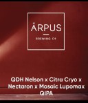 Arpus Brewing Co. QDH Nelson x Citra Cryo x Nectaron x Mosaic Lupomox Qipa