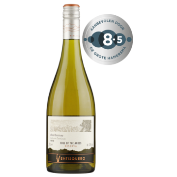 Ventisquero Reserva Chardonnay - Casablanca Valley, Chili